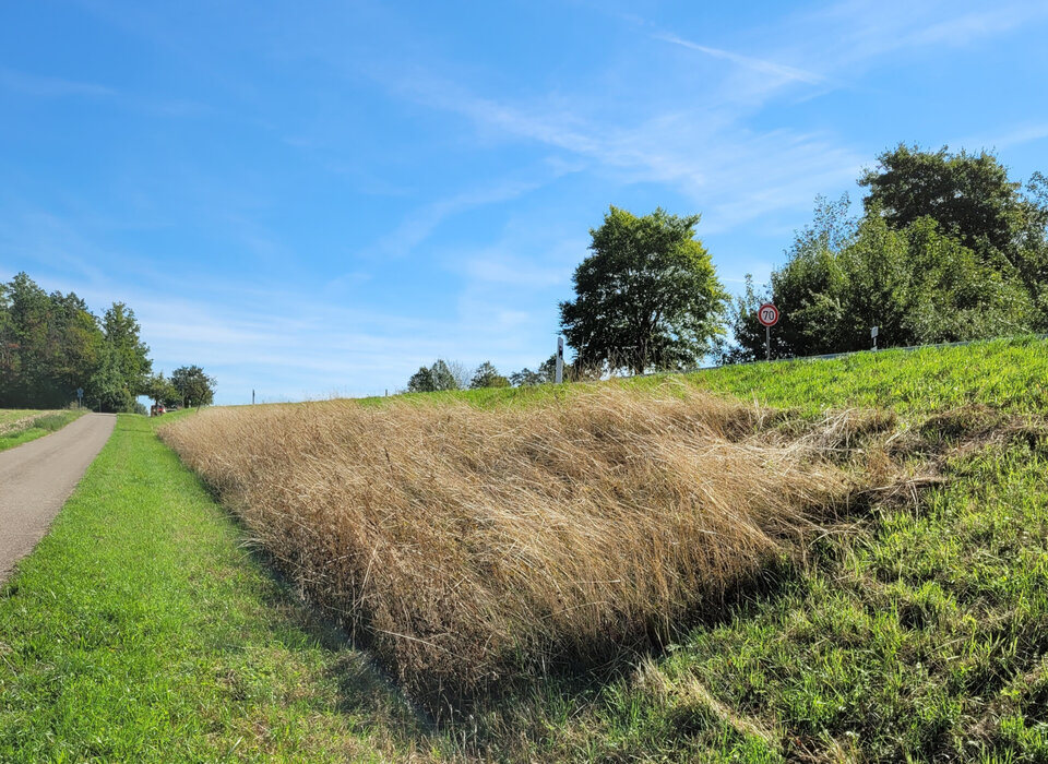 Entlang der Bundes-, Landes- und Kreisstraßen wurden im Landkreis Schwäbisch Hall in den vergangenen drei Jahren 106 Refugialflächen als Lebensraum für Insekten und Kleintiere eingerichtet.