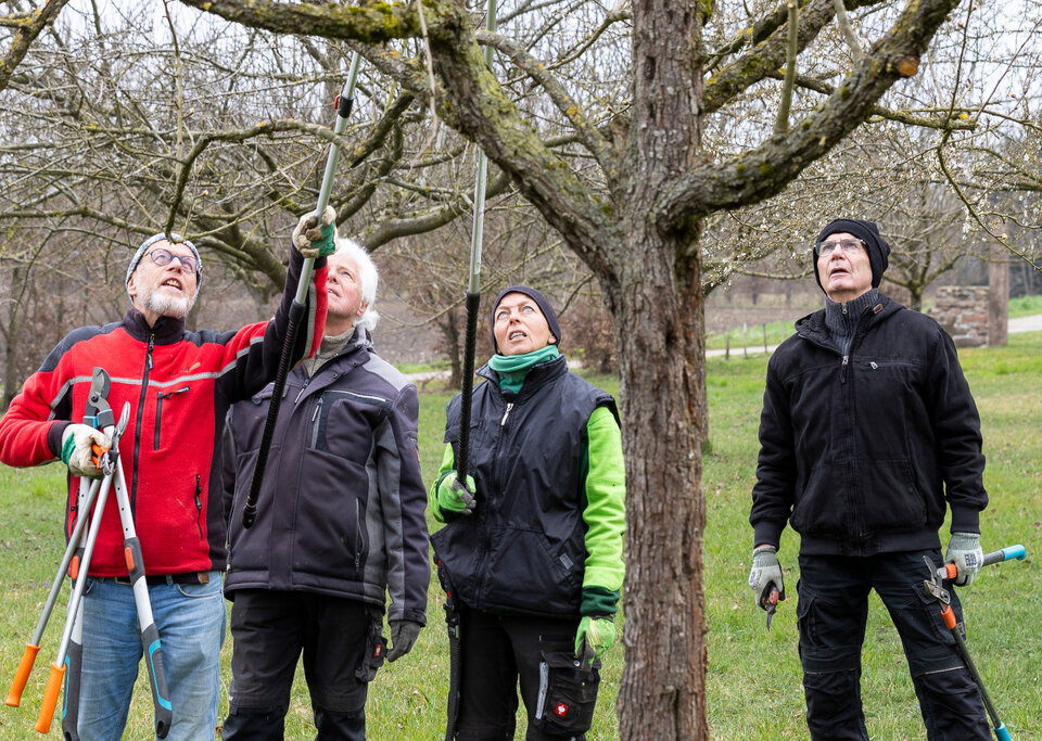 Bei gemeinsamen Landschaftspflegetagen kamen Deutsche und Franzosen zusammen und lernten auch voneinander.