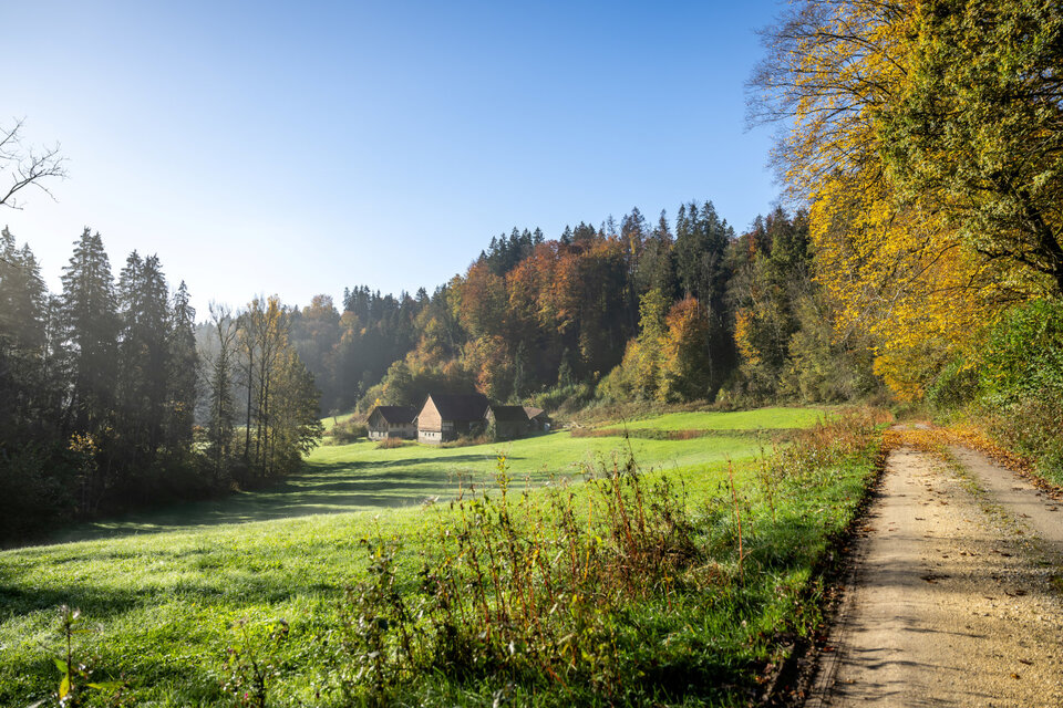 Blick in Richtung Rotachtal in Horgenzell am geplanten Premium-Spazierwanderweg Tobel-Erlebnis