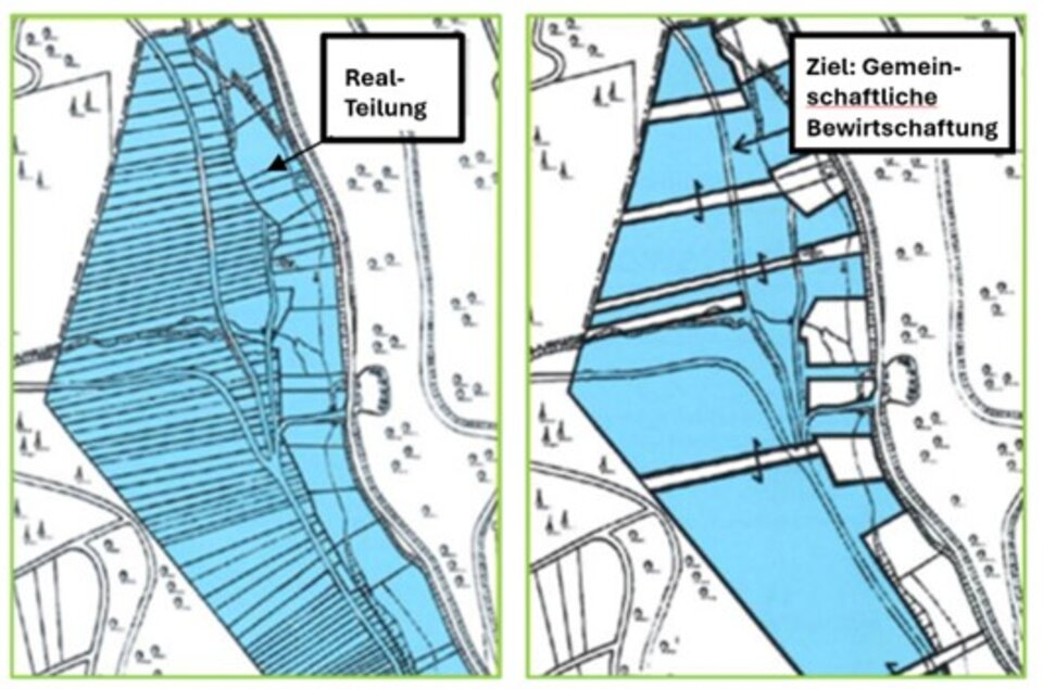 Insbesondere in Realerbteilungsgebieten, wo sehr kleine Waldflurstücke dominieren, macht es Sinn, gemeinschaftliche Betreuungs- und Bewirtschaftungseinheiten zu bilden ohne Verlust des Eigentums