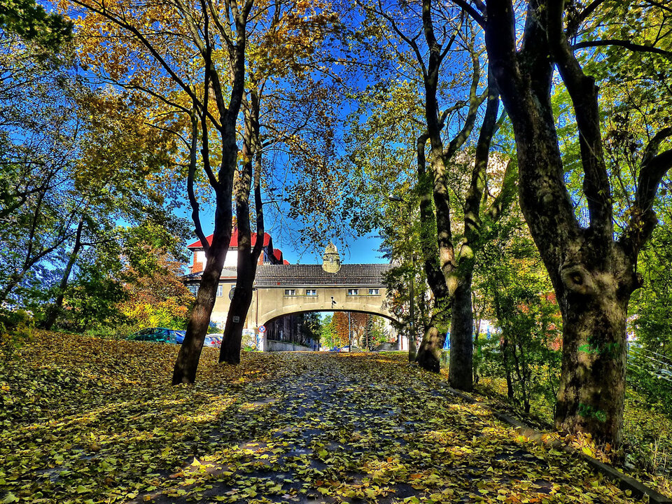 Die „Kreuzung“, Überbleibsel des ehemaligen Auswandererbahnhofs, der 1908 erbaut wurde, war ein Durchgang, der die Kontrollstation für Auswanderer mit dem Bahnhof verband – eine der Spuren von Mysłowice als Grenzstadt.